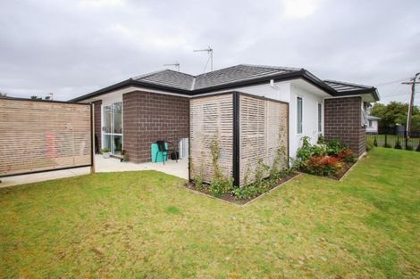 Photo of property in 97u1 Bruce Avenue, Glenview, Hamilton, 3206