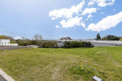Photo of property in 46b Simla Avenue, Havelock North, 4130