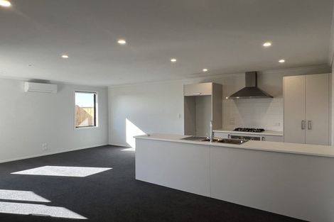 Photo of property in 104 Pragma Rise, Huntington, Hamilton, 3210