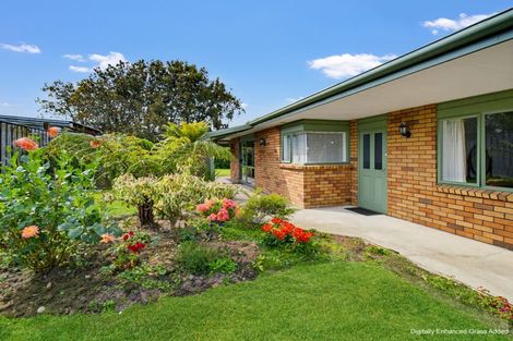 Photo of property in 5 Wilson Place, Marton, 4710