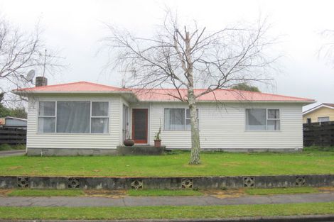 Photo of property in 10 Featherston Street, Levin, 5510