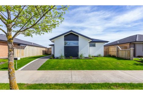 Photo of property in 56 Pegasus Main Street, Pegasus, 7612