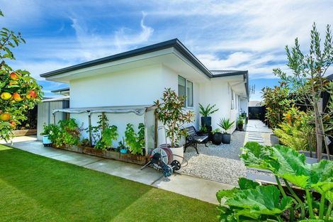 Photo of property in 28 Whitehorn Drive, Lincoln, 7608