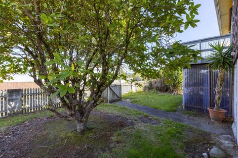 Photo of property in 21 Duncan Street, Taupo, 3330