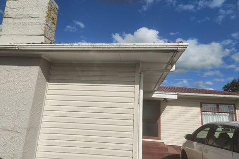 Photo of property in 88 Pipiroa Road, Ngatea, 3503