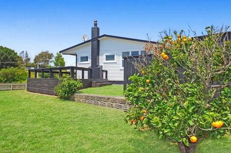 Photo of property in 49 Park Street, Foxton, 4814