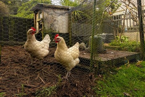 Photo of property in 31 Power Road, Karoro, Greymouth, 7805