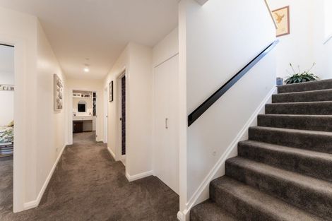 Photo of property in 197 Somerville Street, Shiel Hill, Dunedin, 9013