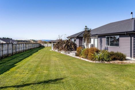 Photo of property in 4 Biron Place, Stratford, 4332