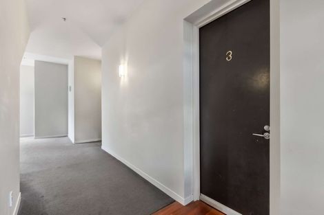 Photo of property in 3/30 Hanson Street, Mount Cook, Wellington, 6021
