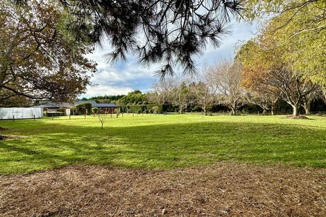 Photo of property in 173 Taiepa Road, Otatara, Invercargill, 9879