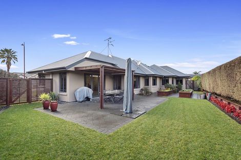 Photo of property in 45 Callum Brae Drive, Rototuna, Hamilton, 3210