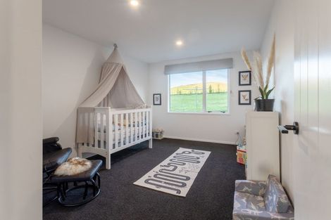 Photo of property in 109e Kyle Road, Waipukurau, 4281