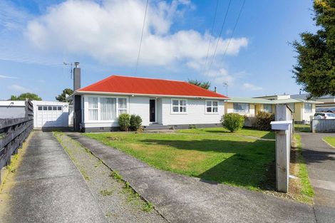 Photo of property in 16 Bledisloe Street, Levin, 5510
