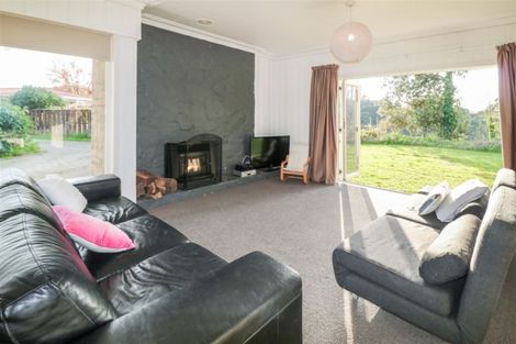 Photo of property in 119 Fitzroy Avenue, Fitzroy, Hamilton, 3206