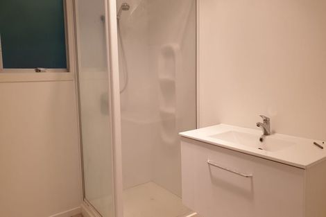 Photo of property in 106 Galloway Street, Hamilton East, Hamilton, 3216