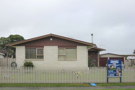 Photo of property in 3 Featherston Street, Levin, 5510