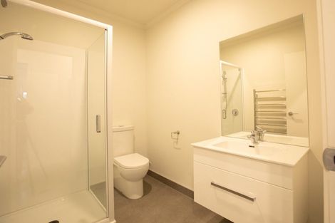 Photo of property in 70a Clarkin Road, Fairfield, Hamilton, 3214