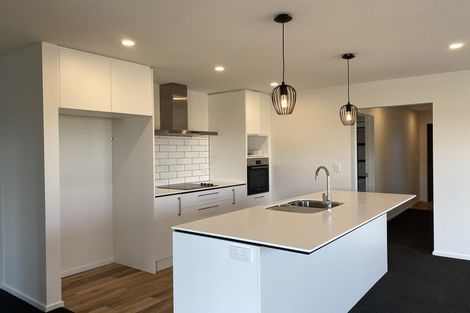 Photo of property in 55 Bonecrusher Street, Lincoln, 7608