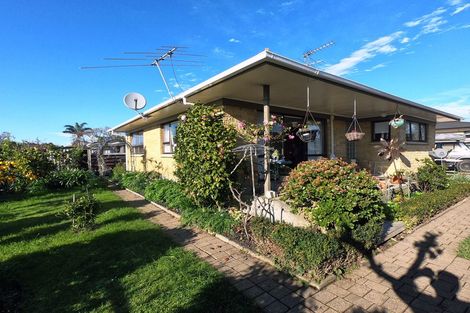 Photo of property in 172a Victoria Street West, Pukekohe, 2120