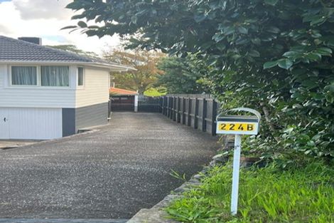 Photo of property in 2/224 Forrest Hill Road, Forrest Hill, Auckland, 0620