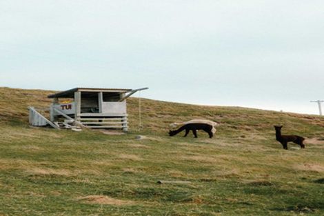 Photo of property in 120 Mair Road, Curio Bay, Tokanui, 9884