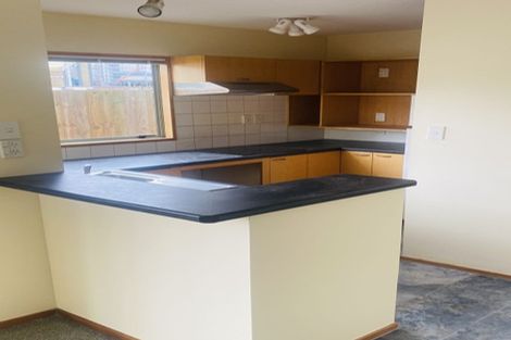 Photo of property in 498b Selwyn Street, Christchurch Central, Christchurch, 8011