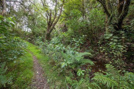 Photo of property in 137 Kiritaki Road, Dannevirke, 4972