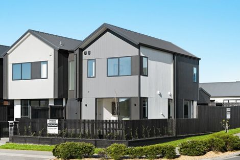 Photo of property in 44 Musselwhite Terrace, Chartwell, 3210