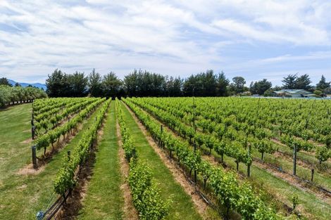 Photo of property in 686 Dillons Point Road, Dillons Point, Blenheim, 7273