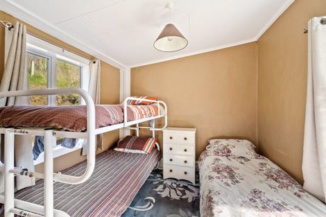 Photo of property in 46 Mcskimming Road, Patearoa, 9398