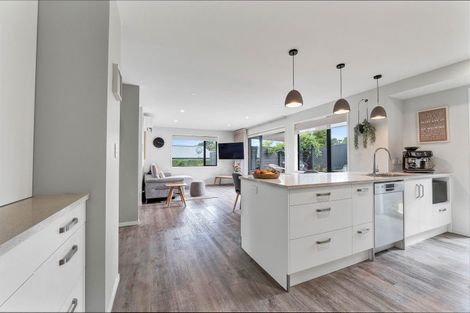 Photo of property in 397a Tukapa Street, Hurdon, New Plymouth, 4310