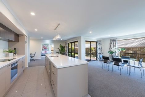 Photo of property in 6 Concordia Drive, Richmond, 7020
