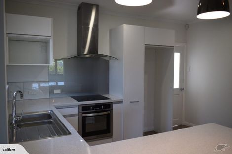 Photo of property in 17 Tinirau Street, Whanganui East, Whanganui, 4500
