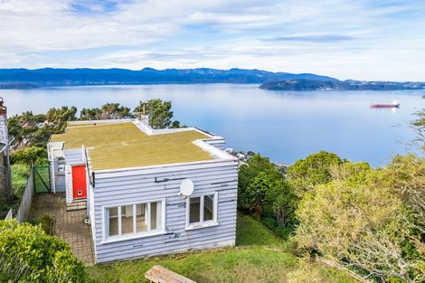 Photo of property in 104 Nicholson Road, Khandallah, Wellington, 6035