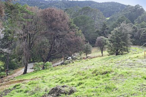 Photo of property in 99 Birdsall Road, Whangateau, 0985