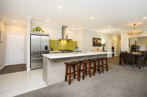 Photo of property in 5 Heritage Place, Terrace End, Palmerston North, 4410