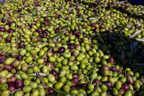 Photo of property in 32 Ara Lane, Kerikeri, 0230