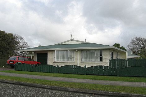 Photo of property in 91 Derby Street, Feilding, 4702