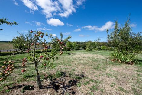 Photo of property in 276 Rawhiti Road, Reporoa, 3081
