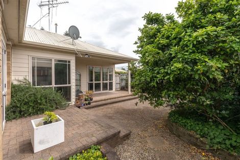 Photo of property in 30b Brooklyn Road, Claudelands, Hamilton, 3214