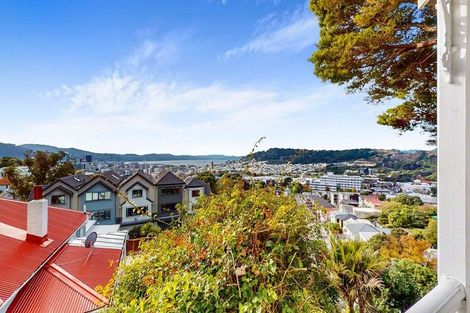 Photo of property in 53 Bidwill Street, Mount Cook, Wellington, 6021