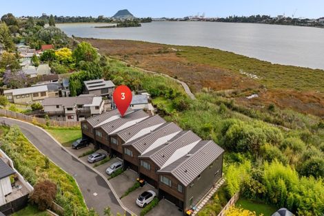 Photo of property in 3 Blenheim Place, Judea, 3110