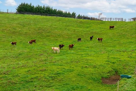 Photo of property in 166b Te Tuhi Road, Okauia, Matamata, 3471