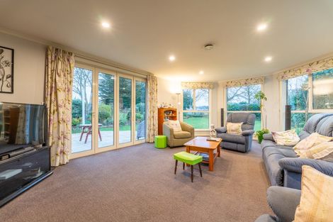 Photo of property in 264 Talbot Street, Geraldine, 7930