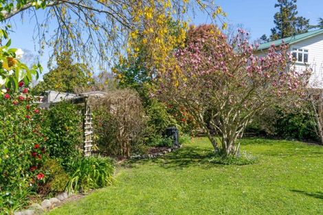 Photo of property in 102 Essex Street, Masterton, 5810