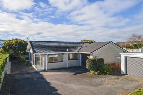 Photo of property in 123a Brooklands Road, Brooklands, New Plymouth, 4310