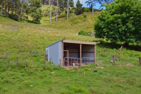 Photo of property in 822 Motukawa Road, Tarata, Inglewood, 4387