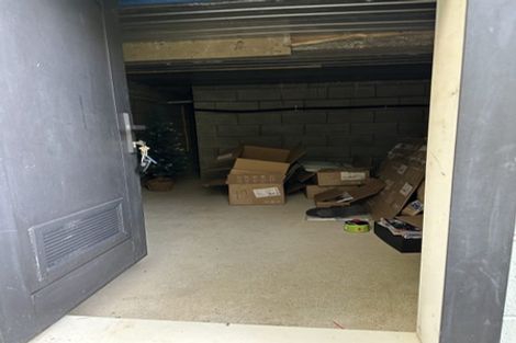 Photo of property in 27u1 Whaui Street, Vogeltown, Wellington, 6021