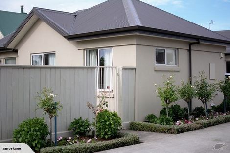 Photo of property in 1/6 Kauri Street, Riccarton, Christchurch, 8041